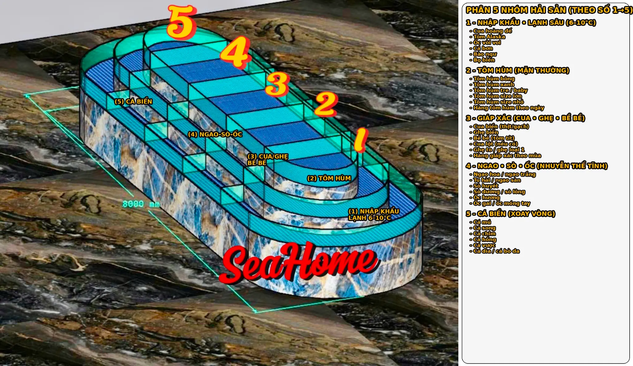 Công trình hải sản thực tế SeaHome