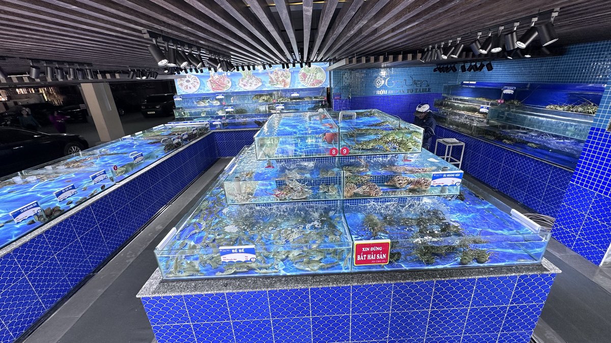 Khu trưng bày hải sản tươi sống Gia Viên – hệ thống bể SeaHome kính 12mm RAS 5 tầng