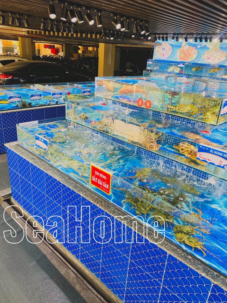 Hệ thống bể hải sản RAS SeaHome thi công tại Gia Viên Hải Phòng – bể đa tầng phân khu chuyên biệt