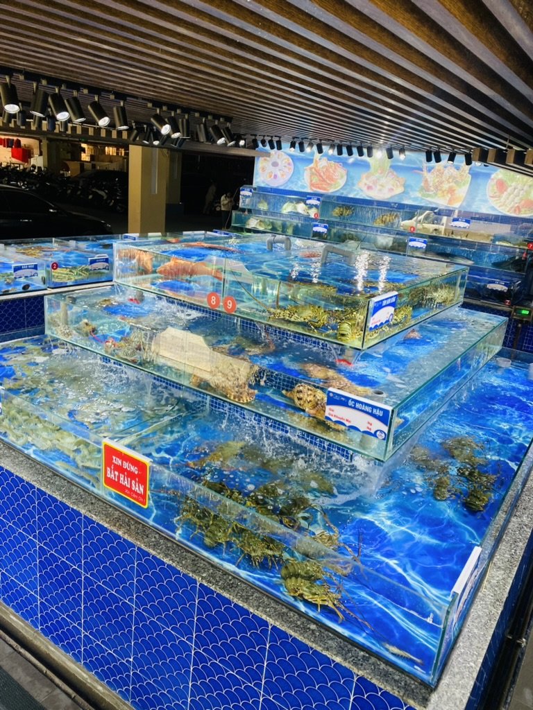 Hệ thống bể hải sản tươi sống Gia Viên – kính 12mm, lọc RAS 5 tầng, nước tĩnh như biển