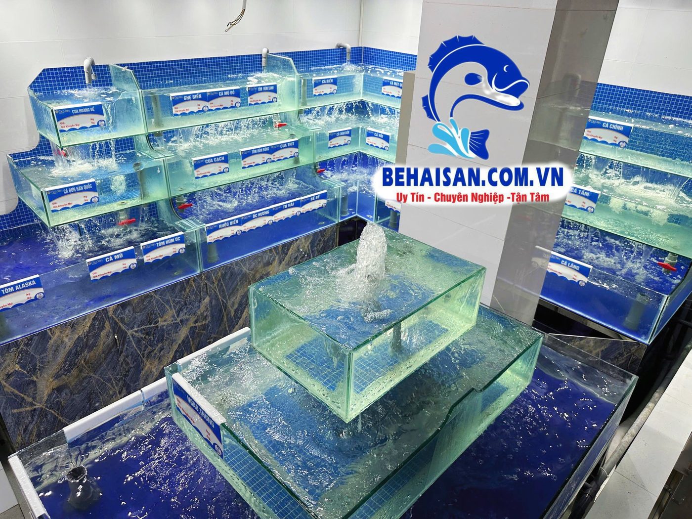 Chi tiết bể hải sản không khung Gia Viên – SeaHome thi công