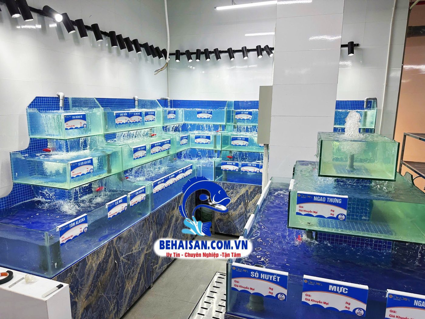 Hệ thống bể hải sản nhiều ngăn tại Gia Viên Restaurant