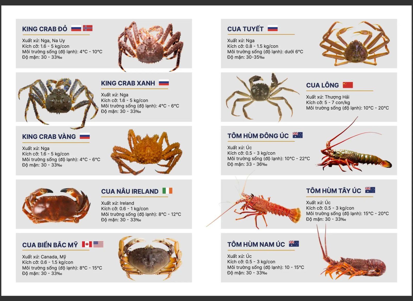 King Crab đỏ, King Crab xanh, Cua tuyết, Tôm hùm Úc nhập khẩu - SeaHome