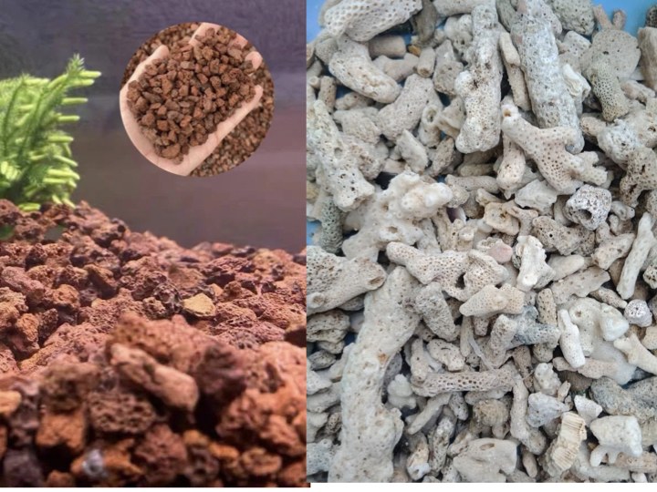 Nham thạch đỏ và san hô trắng - vật liệu lọc sinh học cao cấp cho bể hải sản
