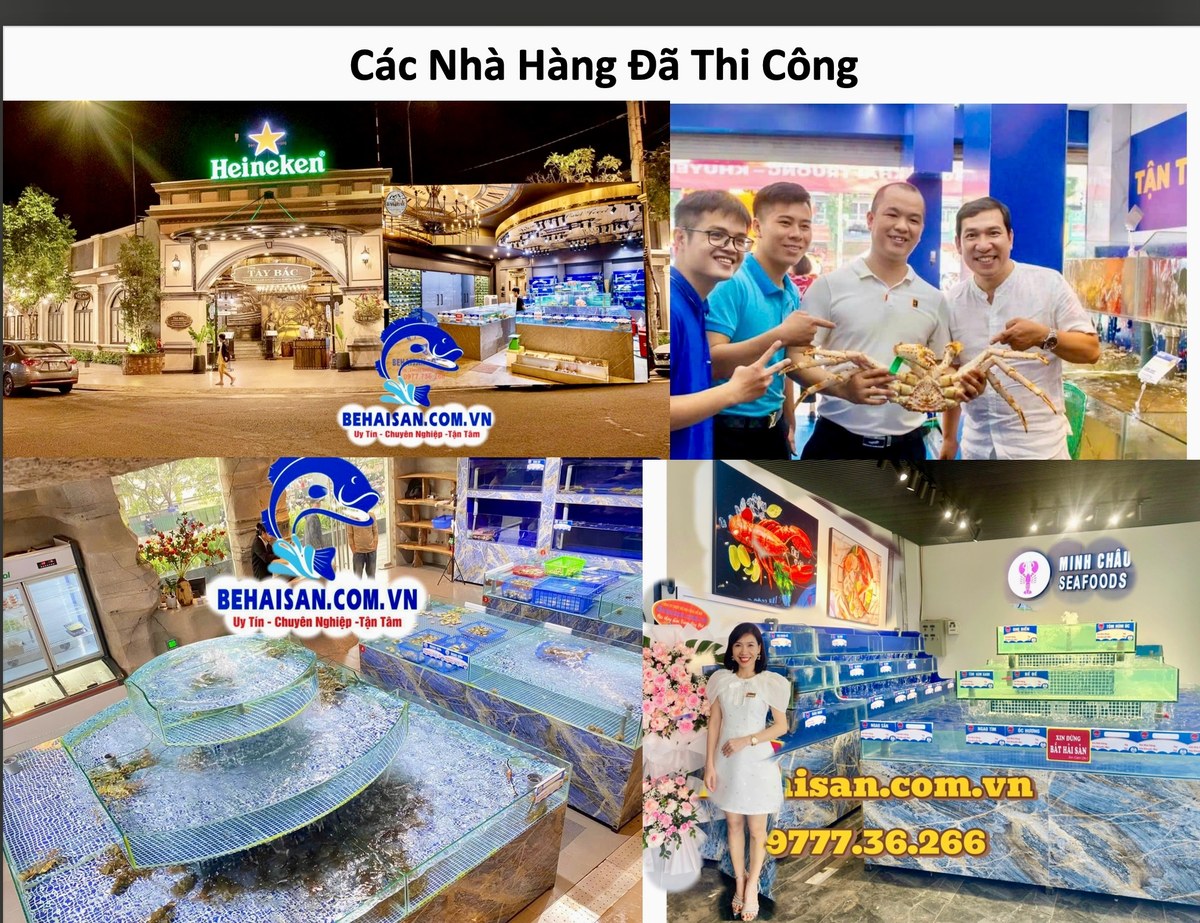 Hồ hải sản thương mại chuyên nghiệp – các công trình SeaHome đã thi công, khách hàng hài lòng