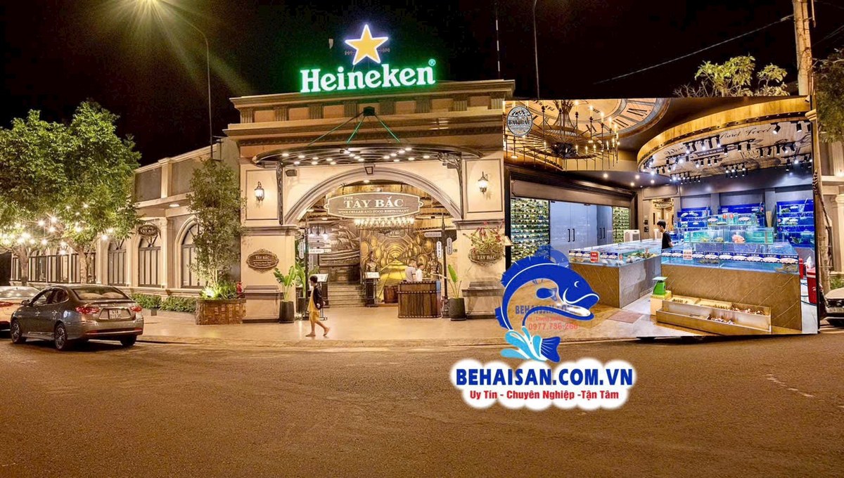 Thi công bể hải sản nhà hàng cao cấp – Nhà Hàng Tây Bắc Wine Cellar BMT, SeaHome thi công hệ thống RAS 5 tầng