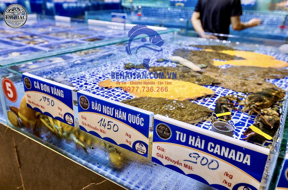 Nhà Hàng The Tây Bắc Wine Cellar BMT – nhà hàng 5 sao lớn nhất Buôn Ma Thuột, SeaHome thi công hệ thống hải sản RAS