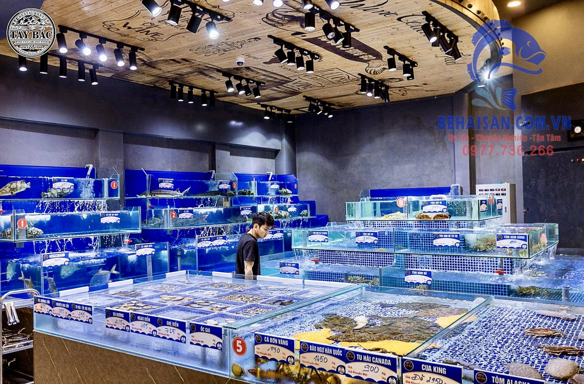 Khu ăn uống cao cấp Tây Bắc Wine Cellar – ẩm thực Âu, Nhật, 3 miền