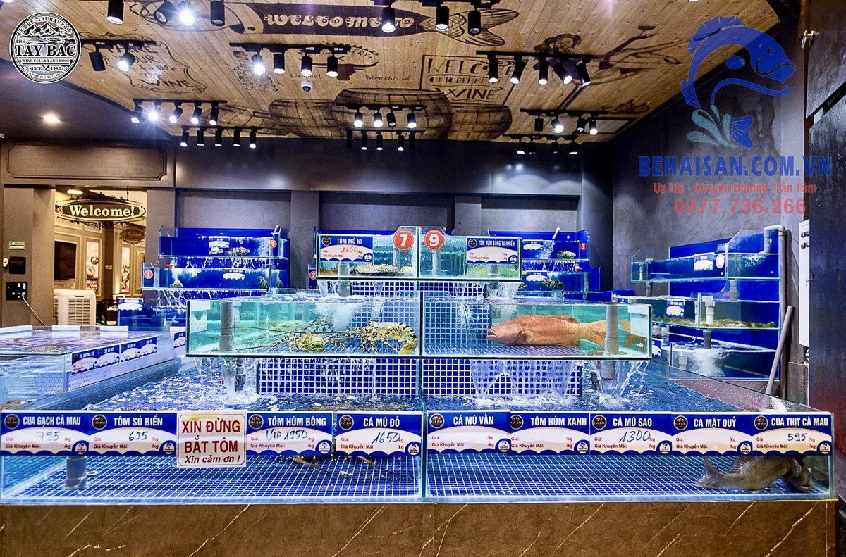 Sảnh tiệc Nhà Hàng Tây Bắc BMT – không gian luxury phục vụ thực khách thượng lưu