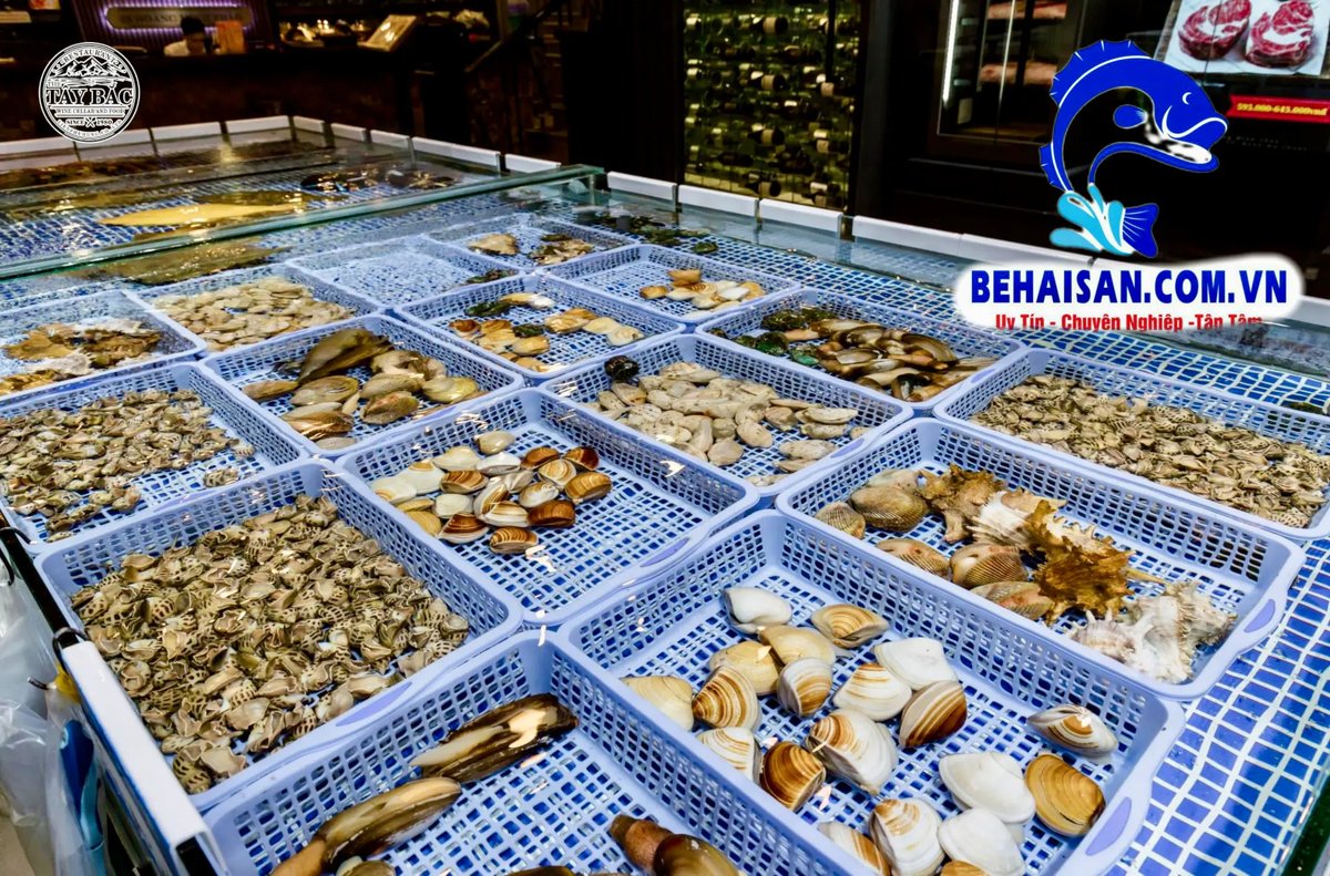 Hệ thống lọc RAS SeaHome tại Tây Bắc BMT – công nghệ lọc sinh học 5 tầng