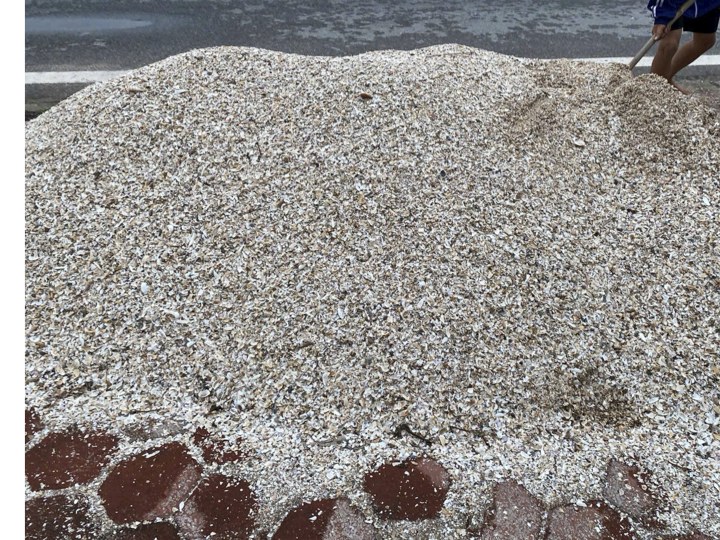 Vỏ sò nghiền và san hô cân bằng pH nước biển bể hải sản SeaHome